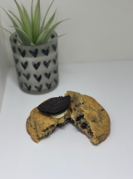 Cookies & Cream COOKIE
